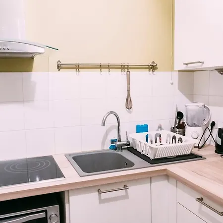 Design And Bright Apt Old Appartement Lille